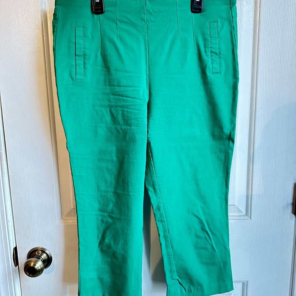 Maurices Vibrant Green Chinos